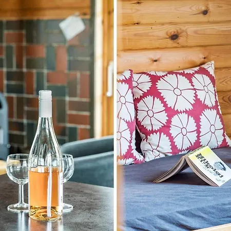 Tv1033-bindslev-bakkevej-7 Tatil Evi